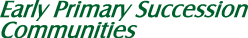title_13.gif (2199 bytes)